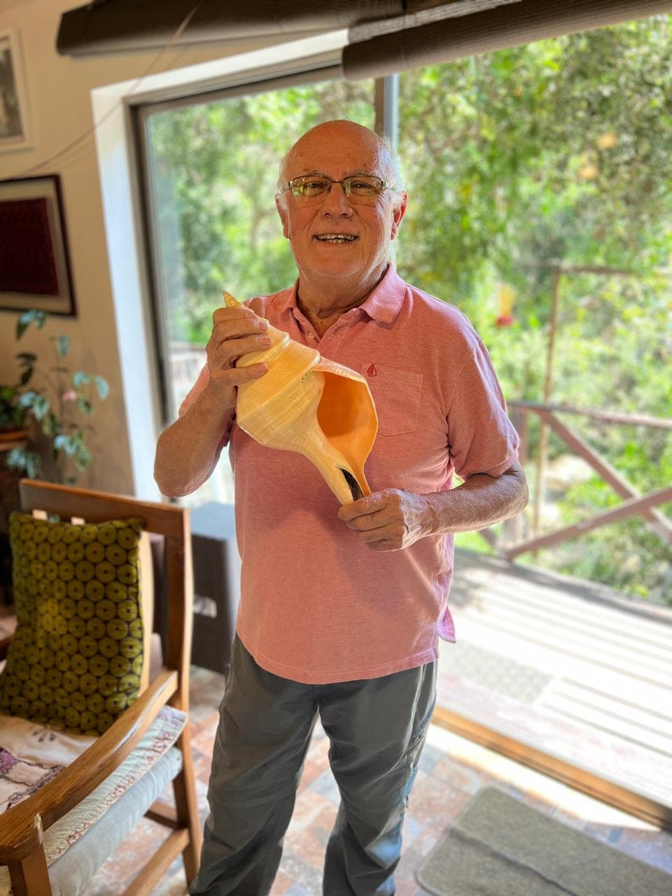 Colección malacológica de Antonio Elizalde Hevia